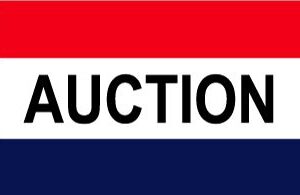 Auction 35 RWB Horizontal